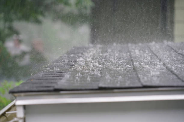 Best Metal Roofing Installation  in Moses Lake North, WA